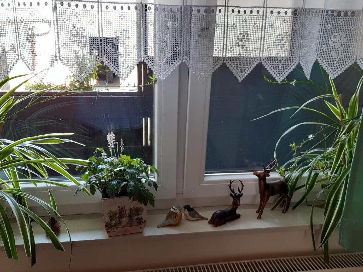 Ferienzimmer Lang Homestay *